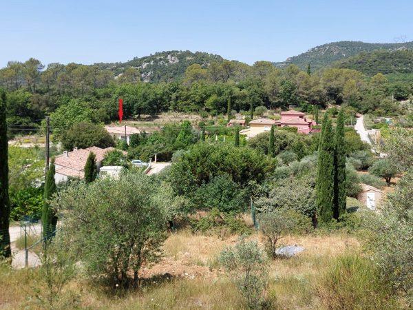 environnement fleche